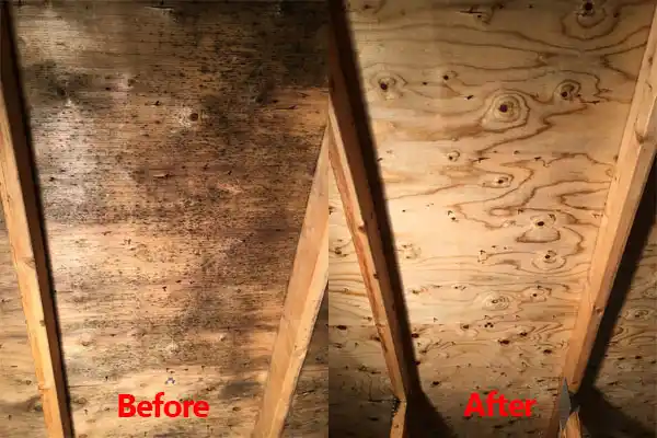 water damage restoration service Crocker